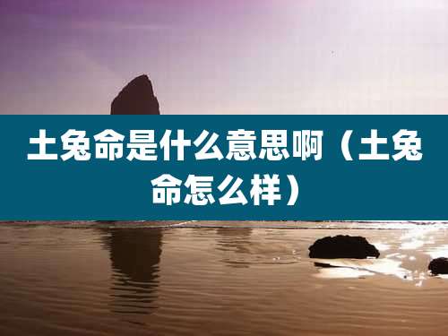 土兔命是什么意思啊（土兔命怎么样）