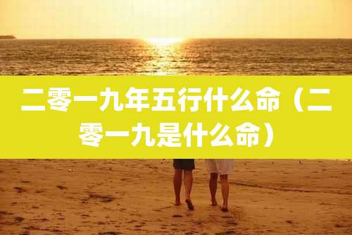 二零一九年五行什么命（二零一九是什么命）