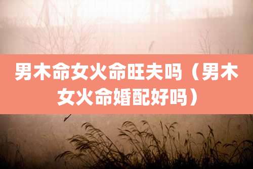 男木命女火命旺夫吗（男木女火命婚配好吗）
