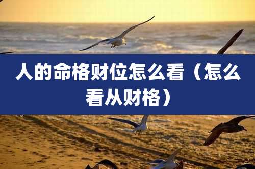 人的命格财位怎么看（怎么看从财格）