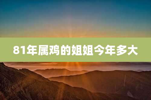 81年属鸡的姐姐今年多大