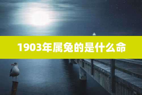 1903年属兔的是什么命