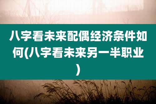 八字看未来配偶经济条件如何(八字看未来另一半职业)