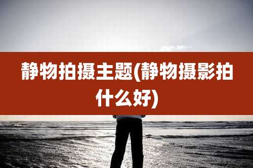 静物拍摄主题(静物摄影拍什么好)