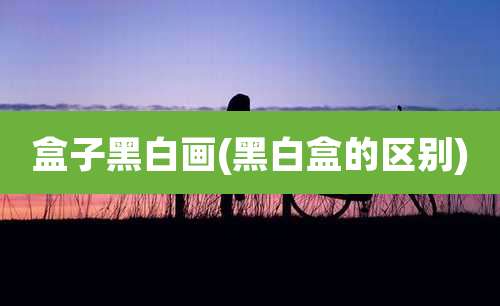 盒子黑白画(黑白盒的区别)