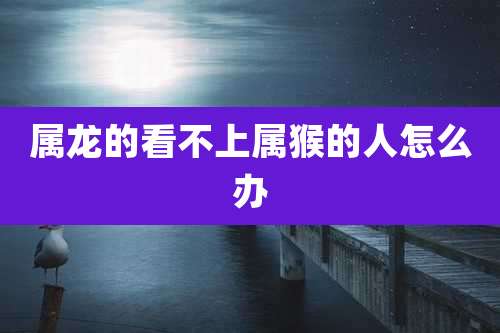 属龙的看不上属猴的人怎么办
