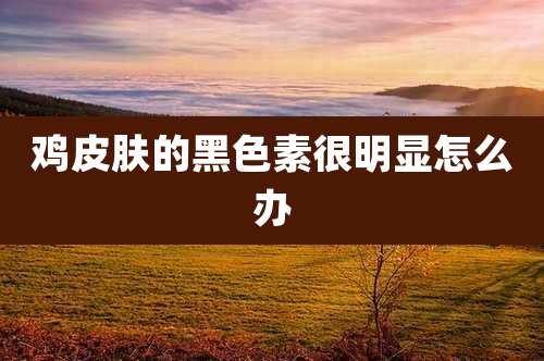 鸡皮肤的黑色素很明显怎么办