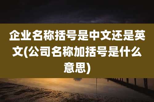 企业名称括号是中文还是英文(公司名称加括号是什么意思)
