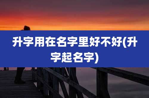 升字用在名字里好不好(升字起名字)