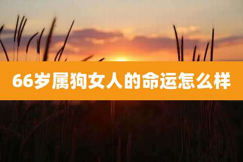 66岁属狗女人的命运怎么样