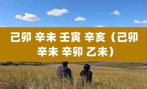 己卯 辛未 壬寅 辛亥（己卯 辛未 辛卯 乙未）