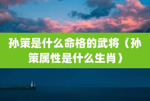 孙策是什么命格的武将（孙策属性是什么生肖）