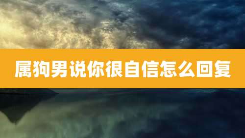 属狗男说你很自信怎么回复
