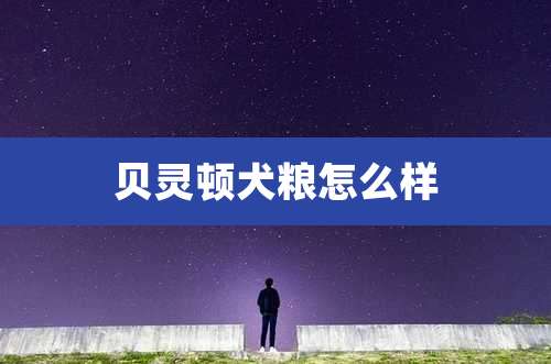 贝灵顿犬粮怎么样