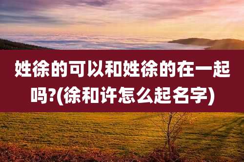 姓徐的可以和姓徐的在一起吗?(徐和许怎么起名字)