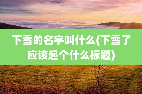 下雪的名字叫什么(下雪了应该起个什么标题)
