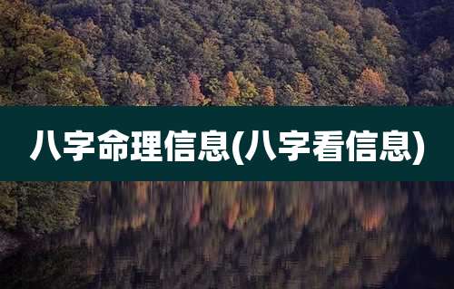 八字命理信息(八字看信息)
