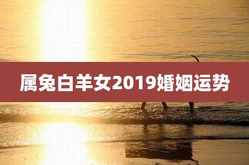 属兔白羊女2019婚姻运势