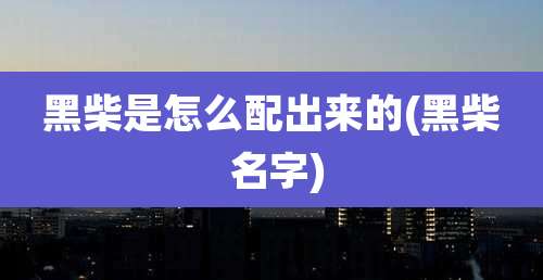 黑柴是怎么配出来的(黑柴 名字)