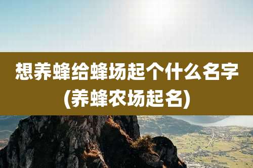 想养蜂给蜂场起个什么名字(养蜂农场起名)