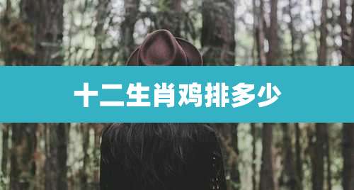 十二生肖鸡排多少