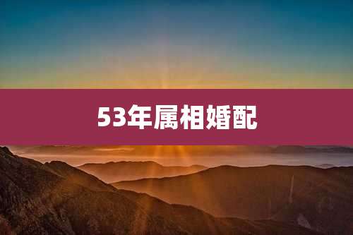 53年属相婚配