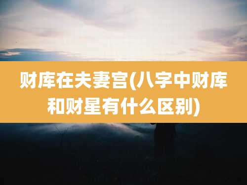 财库在夫妻宫(八字中财库和财星有什么区别)