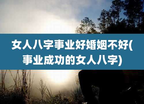 女人八字事业好婚姻不好(事业成功的女人八字)
