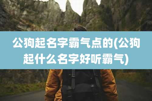 公狗起名字霸气点的(公狗起什么名字好听霸气)