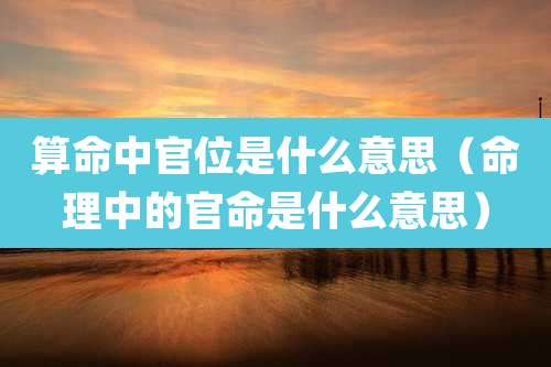 算命中官位是什么意思（命理中的官命是什么意思）