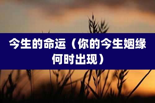 今生的命运（你的今生姻缘何时出现）