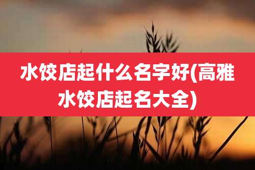水饺店起什么名字好(高雅水饺店起名大全)