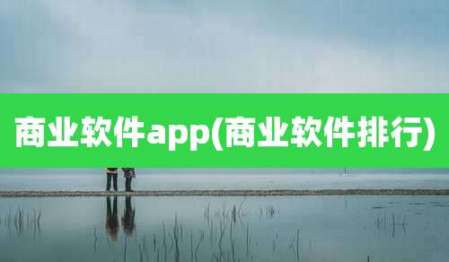 商业软件app(商业软件排行)