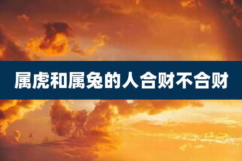 属虎和属兔的人合财不合财