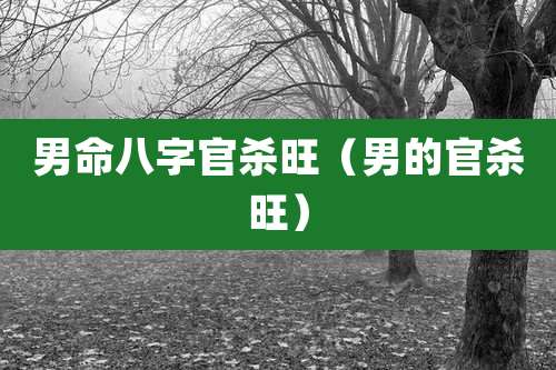 男命八字官杀旺（男的官杀旺）