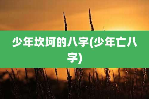 少年坎坷的八字(少年亡八字)