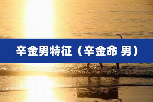 辛金男特征（辛金命 男）