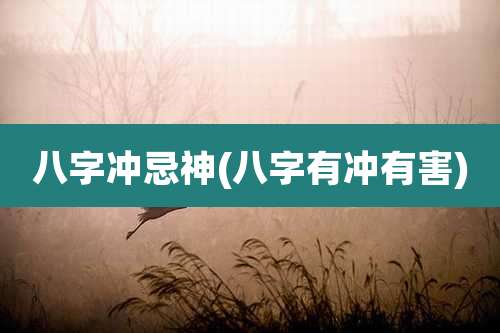 八字冲忌神(八字有冲有害)