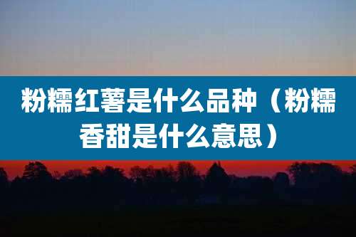 粉糯红薯是什么品种（粉糯香甜是什么意思）