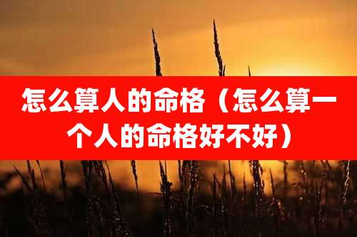 怎么算人的命格（怎么算一个人的命格好不好）