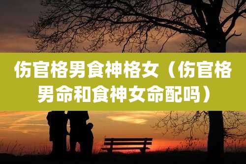 伤官格男食神格女（伤官格男命和食神女命配吗）