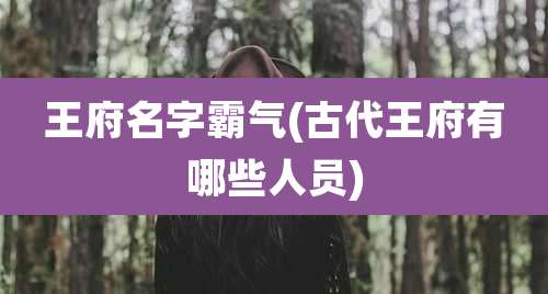 王府名字霸气(古代王府有哪些人员)