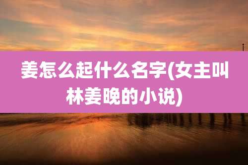 姜怎么起什么名字(女主叫林姜晚的小说)