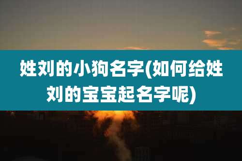 姓刘的小狗名字(如何给姓刘的宝宝起名字呢)