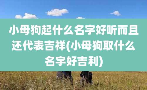 小母狗起什么名字好听而且还代表吉祥(小母狗取什么名字好吉利)