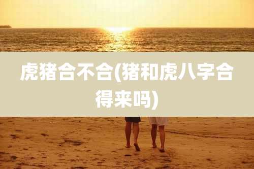 虎猪合不合(猪和虎八字合得来吗)
