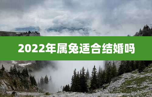 2022年属兔适合结婚吗