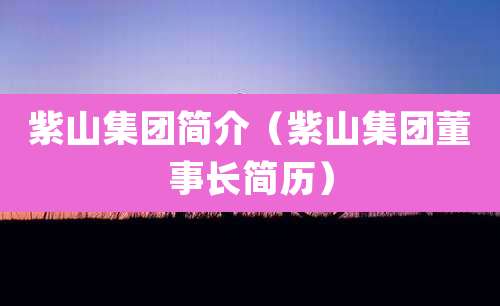 紫山集团简介（紫山集团董事长简历）