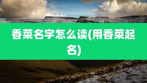 香菜名字怎么读(用香菜起名)