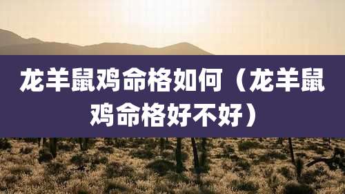 龙羊鼠鸡命格如何（龙羊鼠鸡命格好不好）